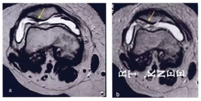 1686623483.png image.png