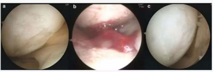 1686623532.png image.png