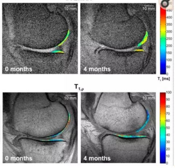 1686623559.png image.png